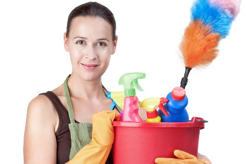 Sofa cleaning essentials in a modern living room