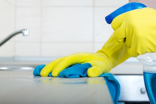 Professional upholstery cleaning for a refreshed sofa